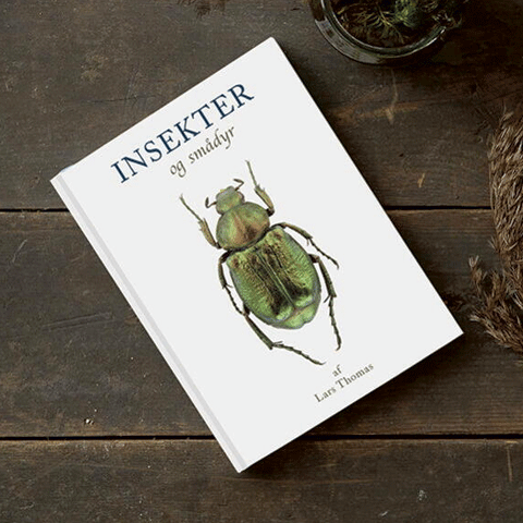 Insekter - og andre smådyr