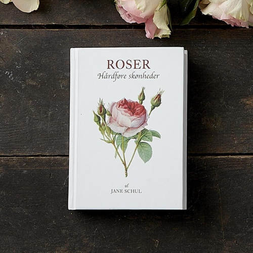 Roser - Hårdføre skønheder