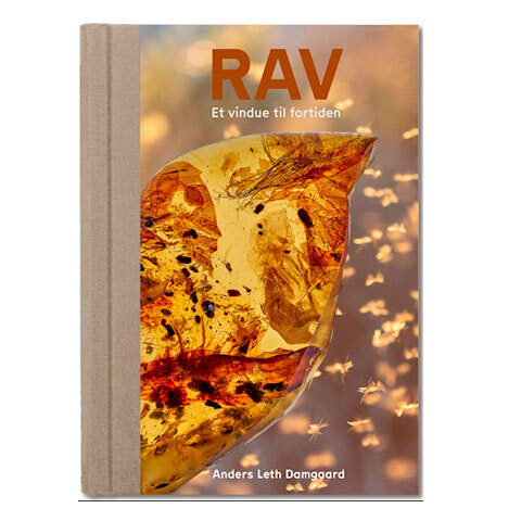 Rav - Et vindue til fortiden