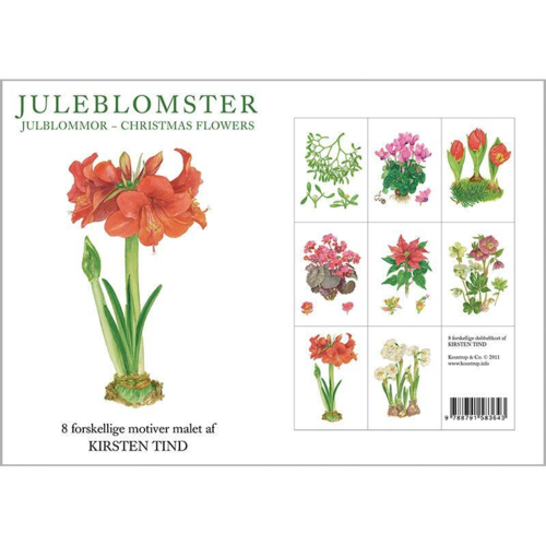 Postkort Juleblomster