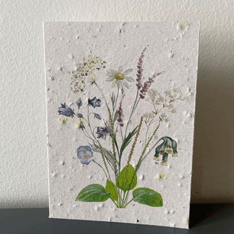 Postkort med frøblanding